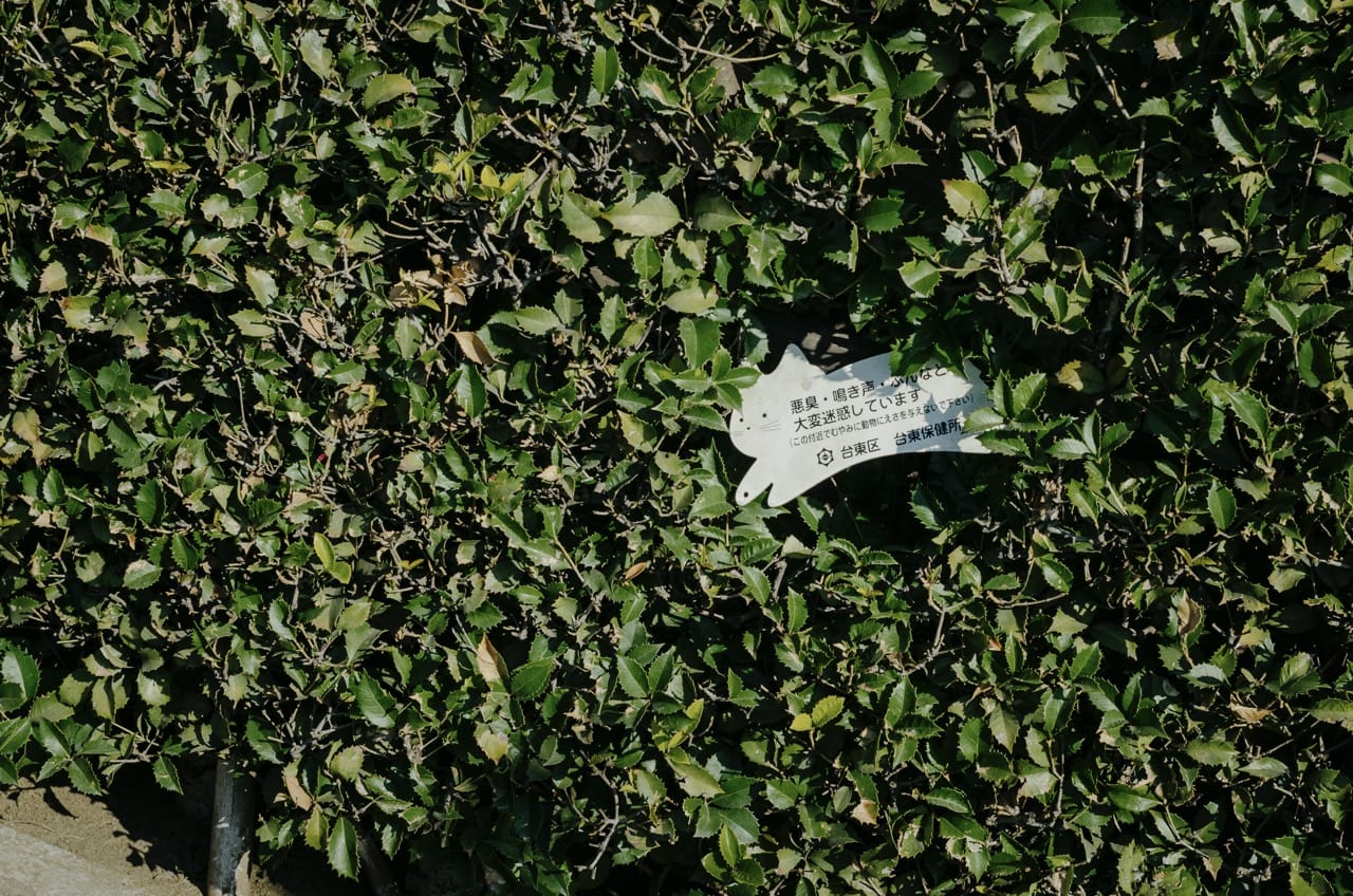 Превью Tokyo 2024